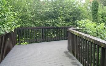 Holzsteg mit Geländer inmitten dichter Vegetation.